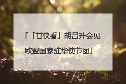 「甘快看」胡昌升会见欧盟国家驻华使节团