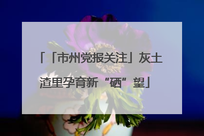 「市州党报关注」灰土渣里孕育新“硒”望