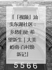 「视频」汕头东湖社区：乡愁归处 希望新生｜大美岭南·百村焕新记