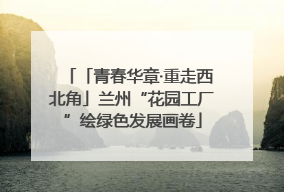 「青春华章·重走西北角」兰州“花园工厂”绘绿色发展画卷
