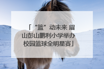 “篮”动未来 眉山彭山鹏利小学举办校园篮球全明星赛