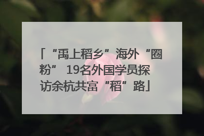 “禹上稻乡”海外“圈粉” 19名外国学员探访余杭共富“稻”路