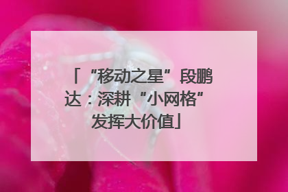 “移动之星”段鹏达：深耕“小网格” 发挥大价值