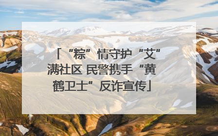 “粽”情守护“艾”满社区 民警携手“黄鹤卫士”反诈宣传