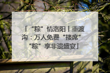 “粽”情洛阳丨重渡沟：万人免费“搂席” “粽”享非遗盛宴