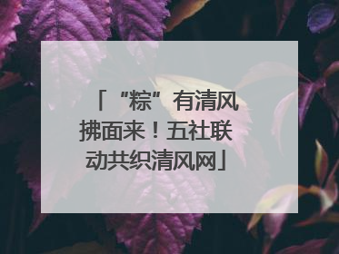 “粽”有清风拂面来！五社联动共织清风网
