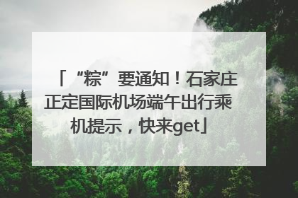 “粽”要通知！石家庄正定国际机场端午出行乘机提示，快来get