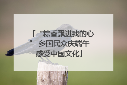“粽香飘进我的心” 多国民众庆端午感受中国文化