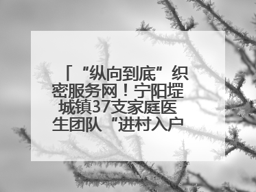 “纵向到底”织密服务网！宁阳堽城镇37支家庭医生团队“进村入户”，让健康政策“落地生根”