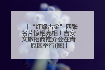 “红绿古金”四张名片惊艳亮相！吉安文旅招商推介会在青原区举行(图)