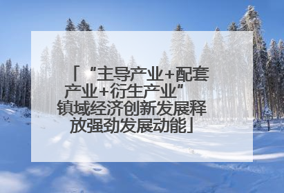 “主导产业+配套产业+衍生产业” 镇域经济创新发展释放强劲发展动能