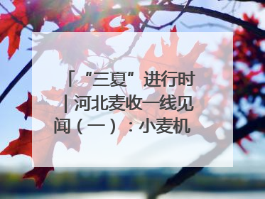“三夏”进行时｜河北麦收一线见闻（一）：小麦机收减损“竞技” 农机高手麦田“过招”
