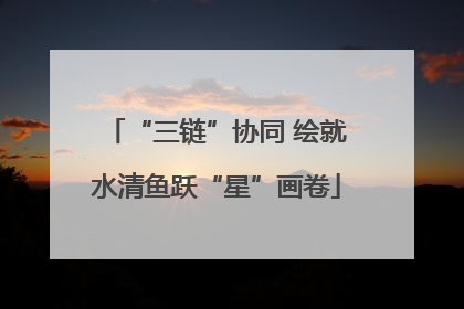 “三链”协同 绘就水清鱼跃“星”画卷