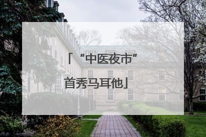 “中医夜市”首秀马耳他