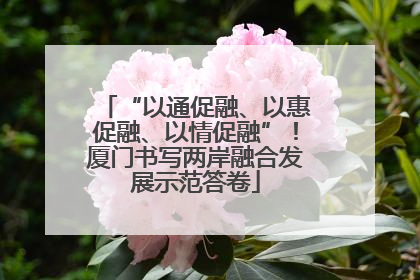 “以通促融、以惠促融、以情促融”！厦门书写两岸融合发展示范答卷