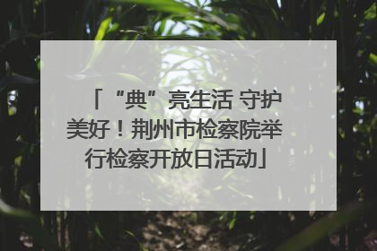“典”亮生活 守护美好！荆州市检察院举行检察开放日活动