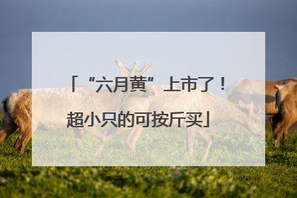 “六月黄”上市了！超小只的可按斤买