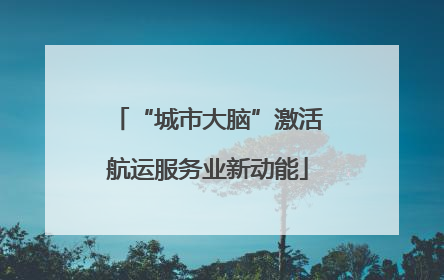 “城市大脑”激活航运服务业新动能