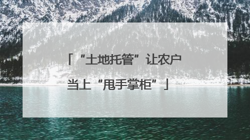 “土地托管”让农户当上“甩手掌柜”