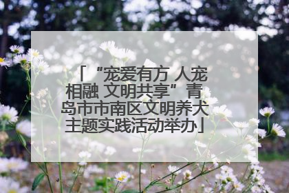 “宠爱有方 人宠相融 文明共享”青岛市市南区文明养犬主题实践活动举办