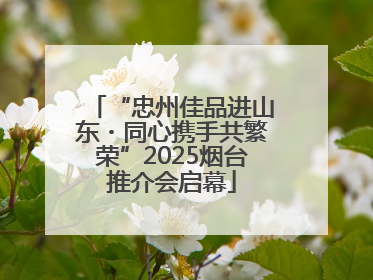 “忠州佳品进山东・同心携手共繁荣”2025烟台推介会启幕