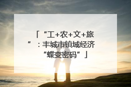 “工+农+文+旅”：丰城市镇域经济“蝶变密码”