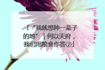 “我就想种一辈子的地”｜何以天府，我们用粮食作答②