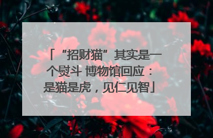 “招财猫”其实是一个熨斗 博物馆回应：是猫是虎，见仁见智