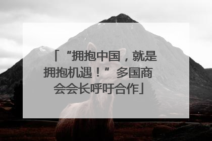 “拥抱中国，就是拥抱机遇！”多国商会会长呼吁合作