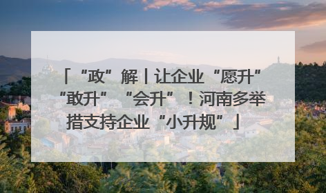 “政”解丨让企业“愿升”“敢升”“会升”！河南多举措支持企业“小升规”