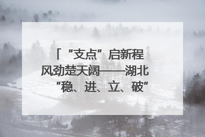 “支点”启新程 风劲楚天阔——湖北“稳、进、立、破”谱写“荆”彩篇章
