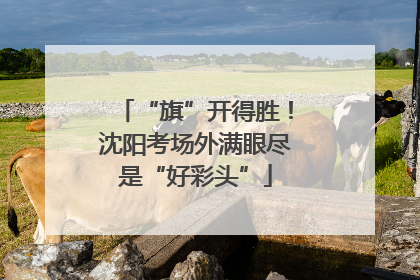 “旗”开得胜！沈阳考场外满眼尽是“好彩头”