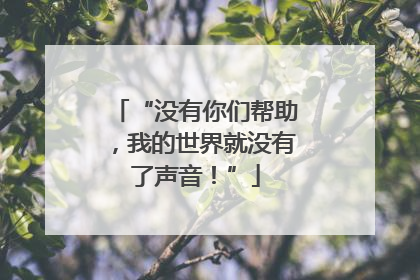“没有你们帮助，我的世界就没有了声音！”
