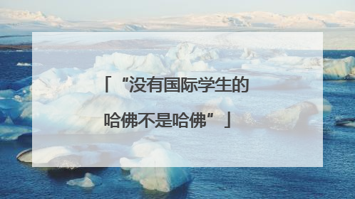 “没有国际学生的哈佛不是哈佛”