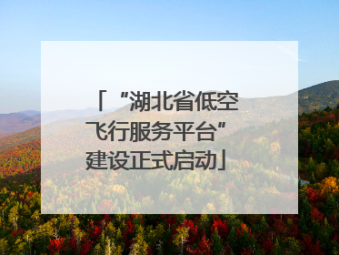 “湖北省低空飞行服务平台”建设正式启动