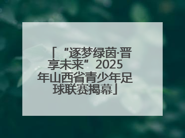 “逐梦绿茵·晋享未来”2025年山西省青少年足球联赛揭幕