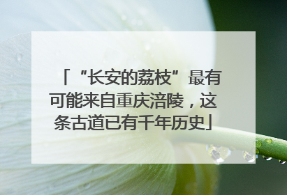 “长安的荔枝”最有可能来自重庆涪陵，这条古道已有千年历史