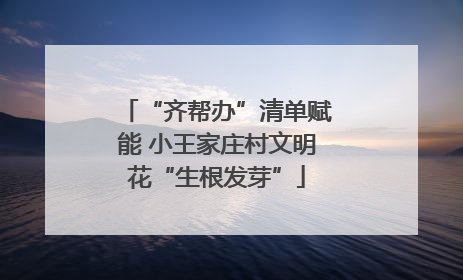 “齐帮办”清单赋能 小王家庄村文明花“生根发芽”