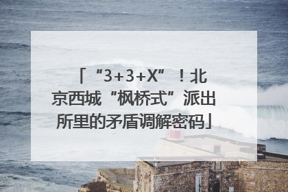 “3+3+X”！北京西城“枫桥式”派出所里的矛盾调解密码