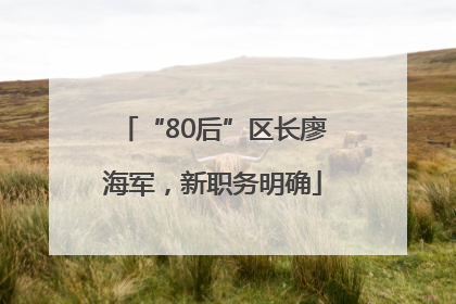 “80后”区长廖海军，新职务明确
