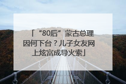 “80后”蒙古总理因何下台？儿子女友网上炫富成导火索