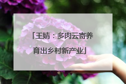 王婧：多肉云寄养 育出乡村新产业