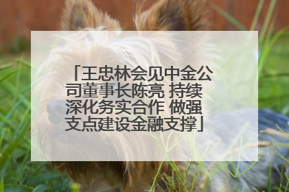 王忠林会见中金公司董事长陈亮 持续深化务实合作 做强支点建设金融支撑