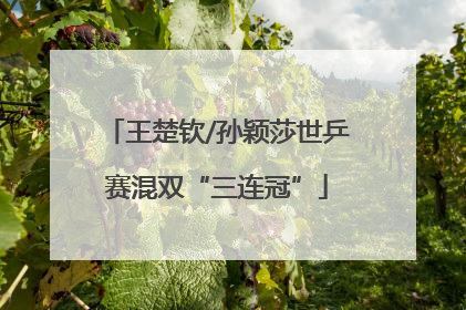 王楚钦/孙颖莎世乒赛混双“三连冠”