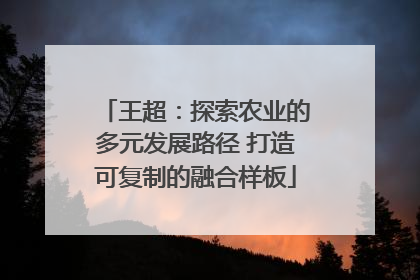 王超：探索农业的多元发展路径 打造可复制的融合样板