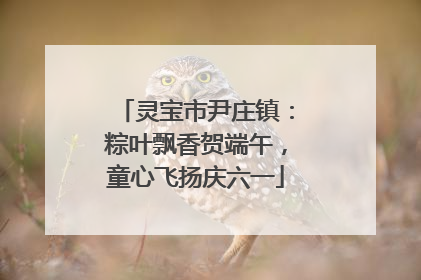 灵宝市尹庄镇：粽叶飘香贺端午，童心飞扬庆六一