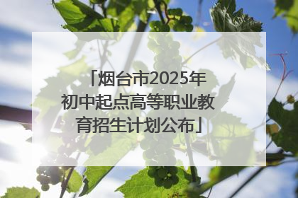 烟台市2025年初中起点高等职业教育招生计划公布