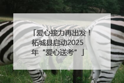 爱心接力再出发！柘城县启动2025年“爱心送考”