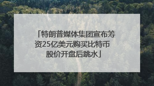 特朗普媒体集团宣布筹资25亿美元购买比特币 股价开盘后跳水