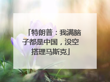 特朗普：我满脑子都是中国，没空搭理马斯克